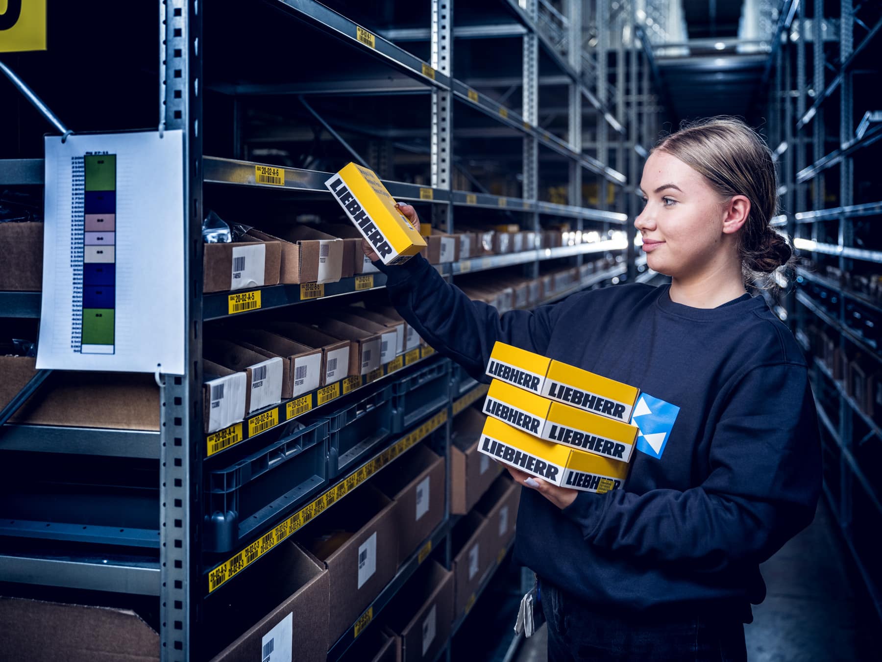 Machinery Spare Parts - Spare Parts Management Warehousing & Storage - Born (9)